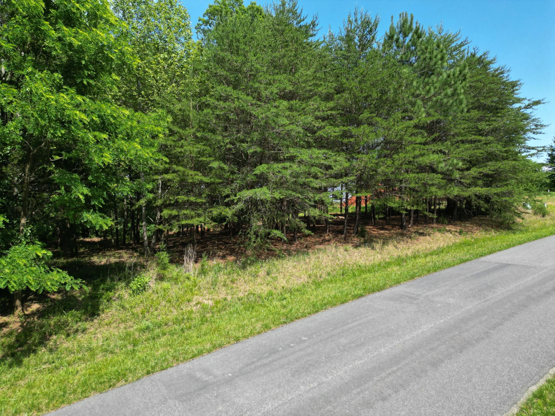 00 IVY LN - Photo 3