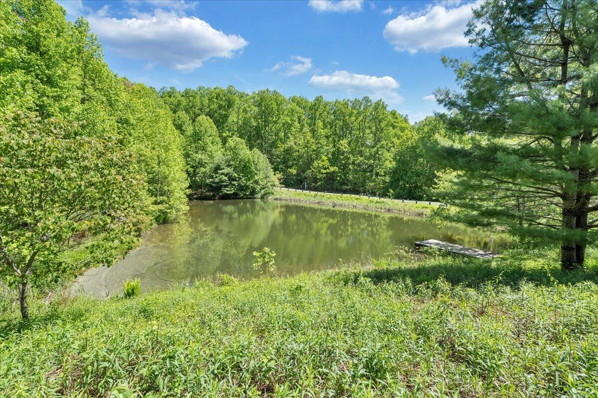 50 Lookout Ridge LN SE - Photo 53