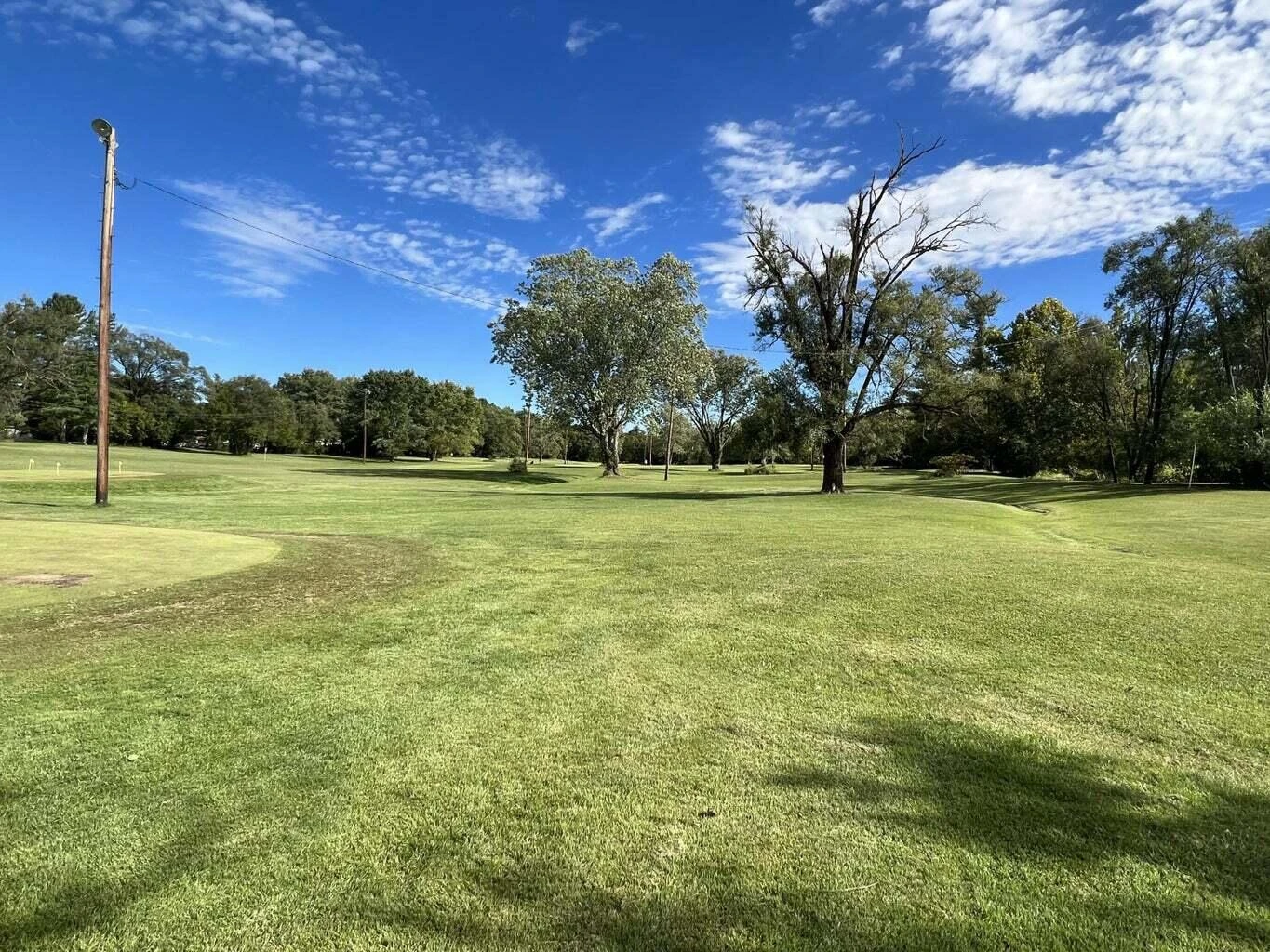 6303 Williamson RD - Photo 18