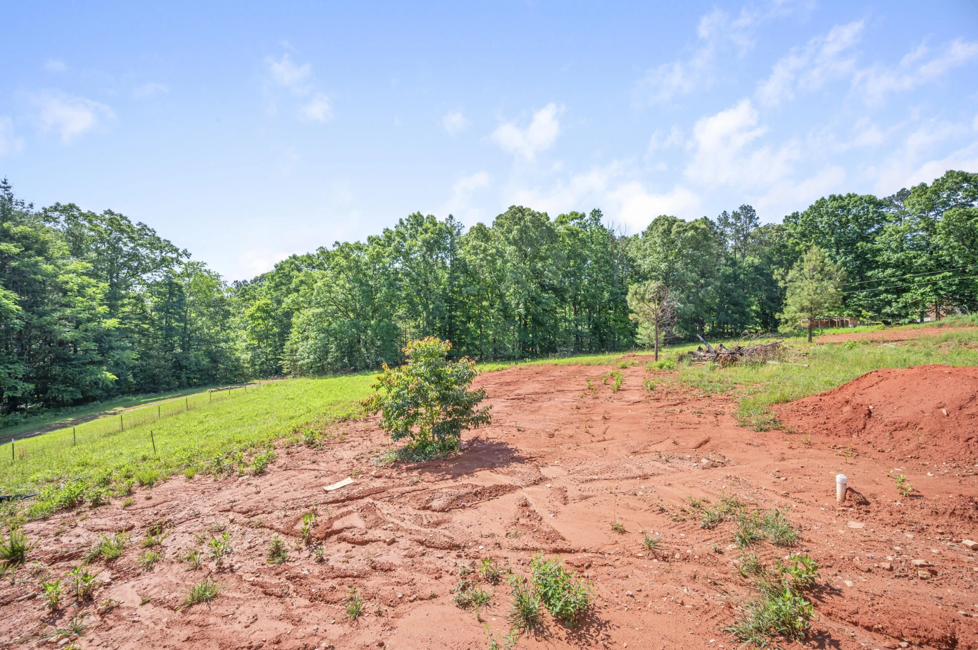 15885 Wyatts WAY - Photo 39