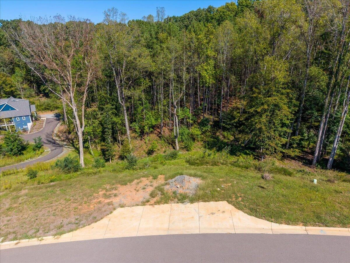 Lot 10 Moneta RD - Photo 8