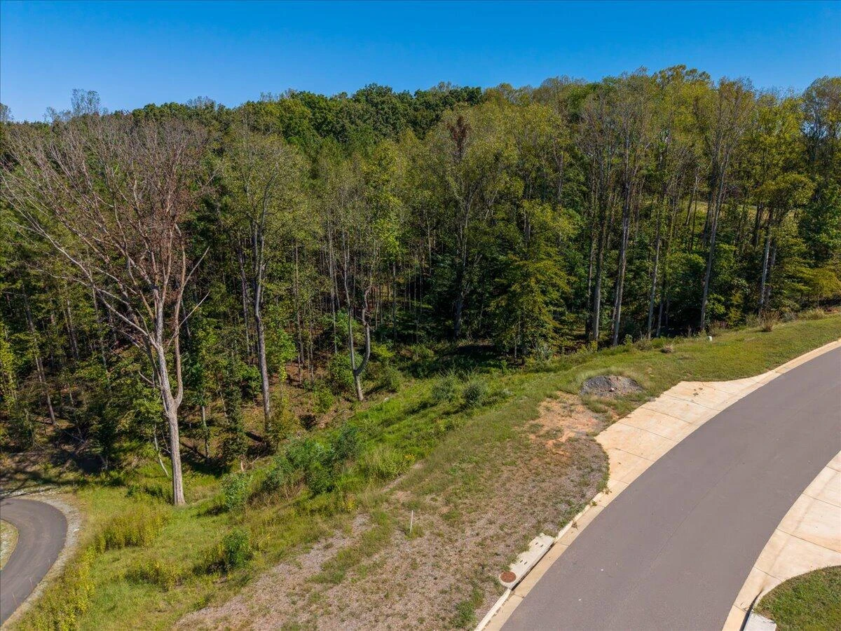 Lot 10 Moneta RD - Photo 9
