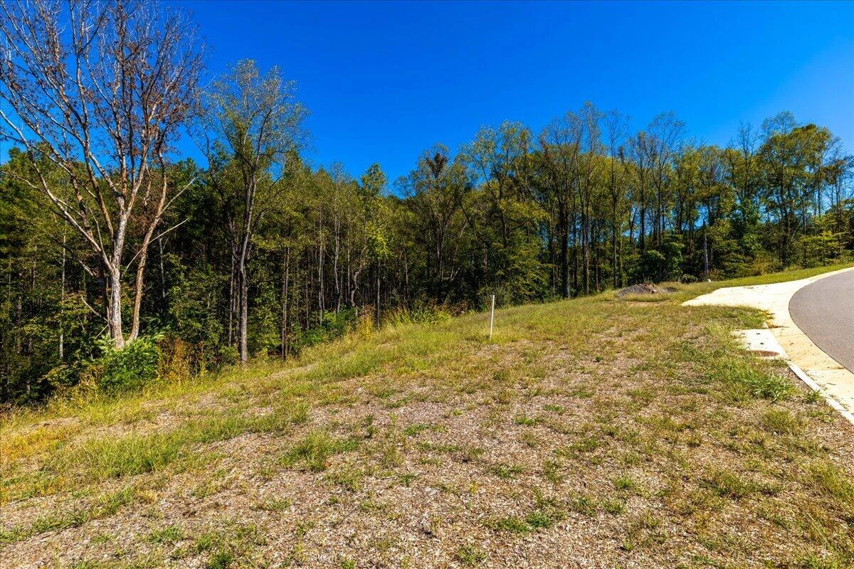 Lot 10 Moneta RD - Photo 13