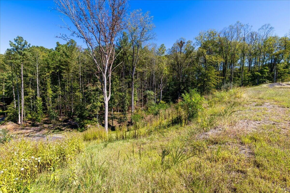 Lot 10 Moneta RD - Photo 14