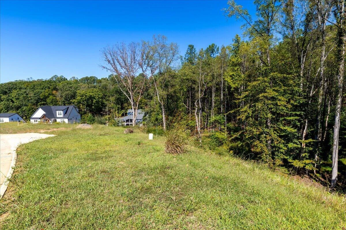 Lot 10 Moneta RD - Photo 16