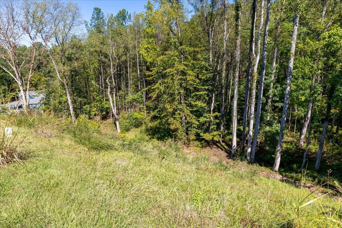 Lot 10 Moneta RD - Photo 17