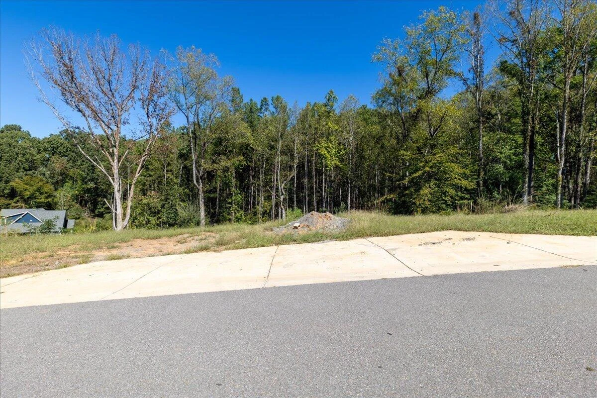 Lot 10 Moneta RD - Photo 19
