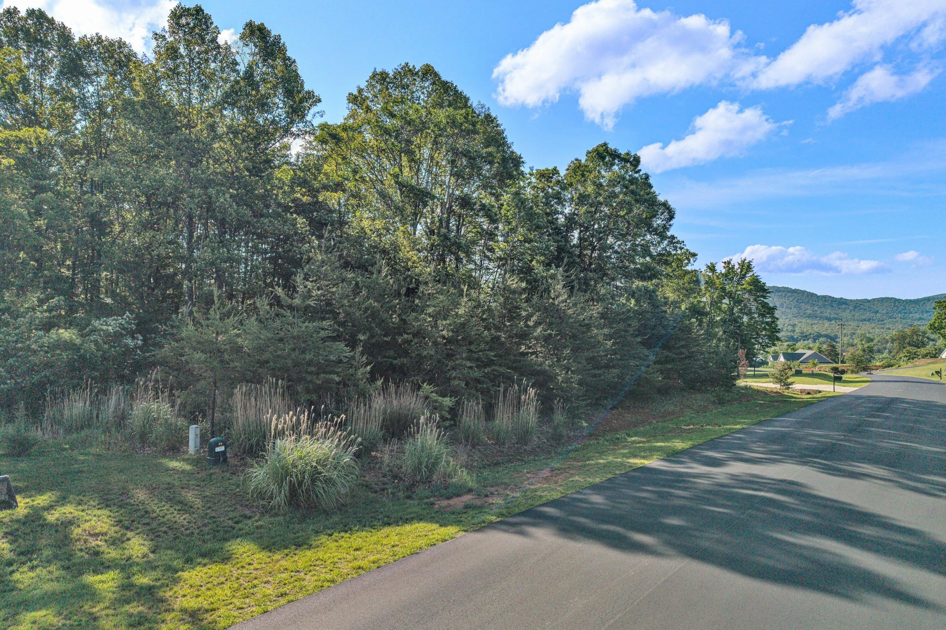 43 Thornblade WAY - Photo 3