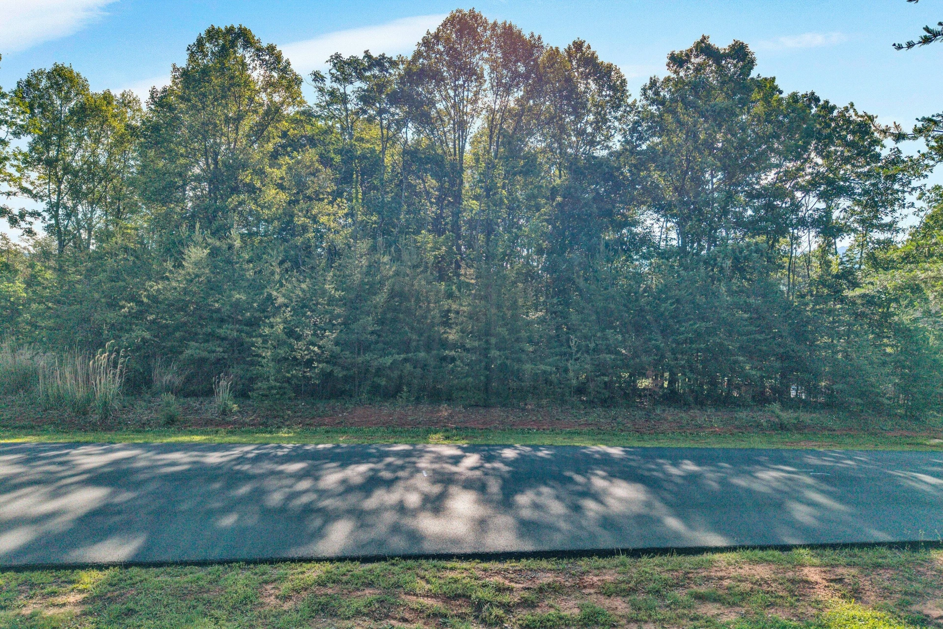 43 Thornblade WAY - Photo 4