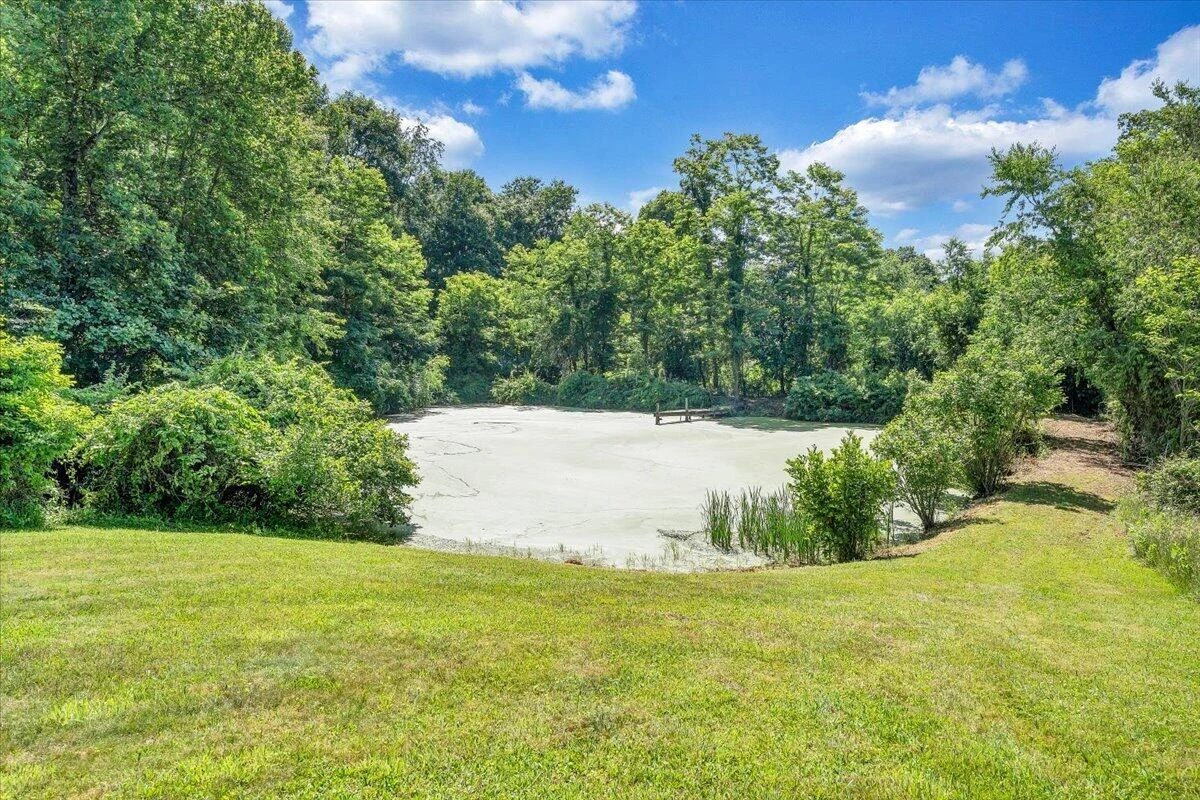 9947 Slings Gap RD - Photo 3