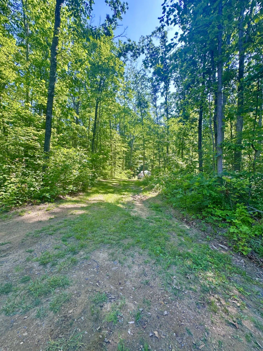 280 Oak Ridge DR - Photo 64