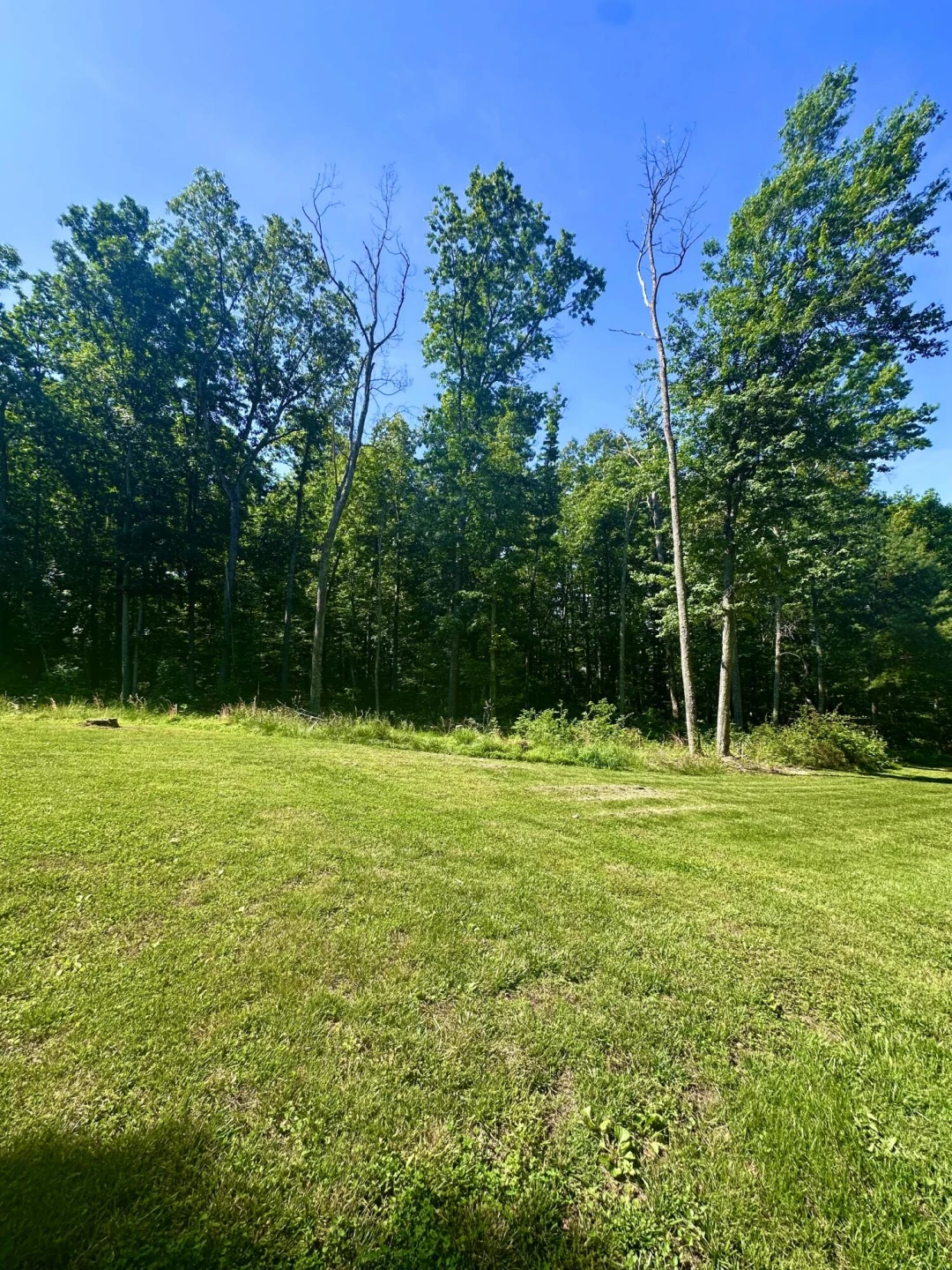 280 Oak Ridge DR - Photo 65