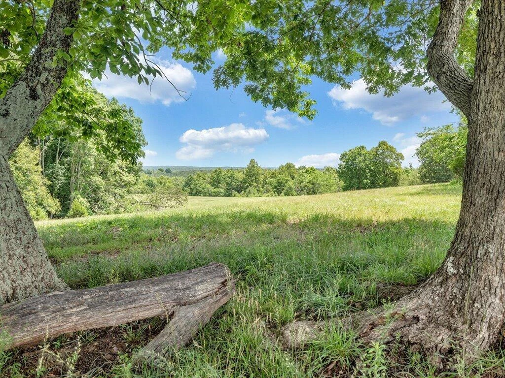 247 Powell RD - Photo 37