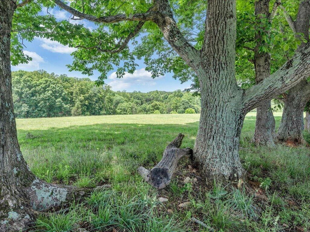 247 Powell RD - Photo 40