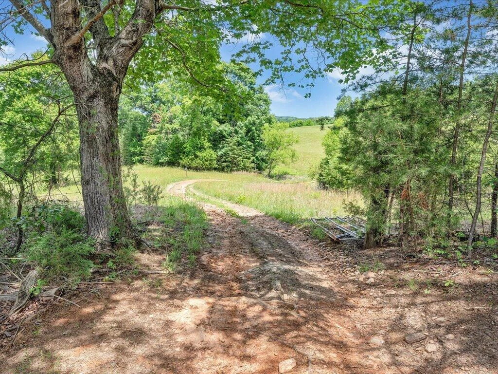 247 Powell RD - Photo 42