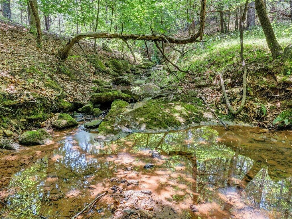 247 Powell RD - Photo 44