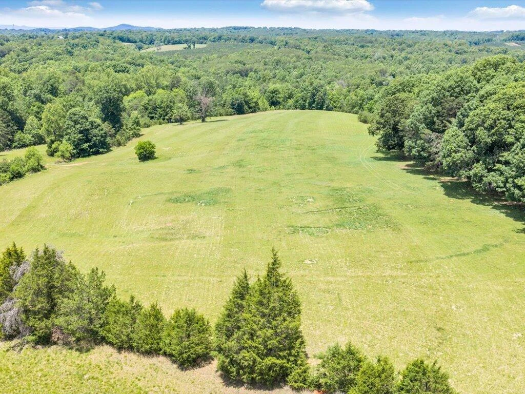 247 Powell RD - Photo 59