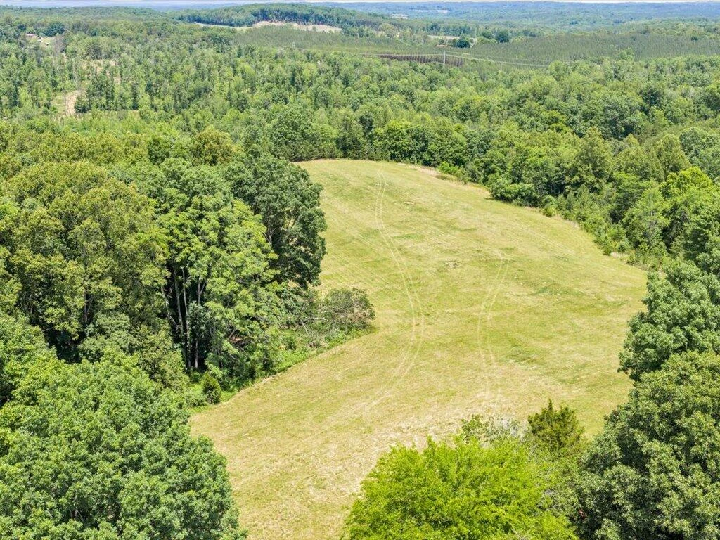 247 Powell RD - Photo 60