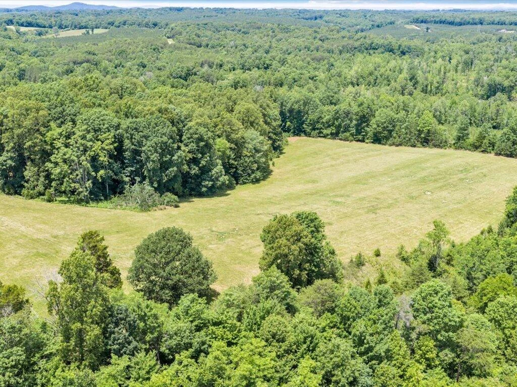247 Powell RD - Photo 61