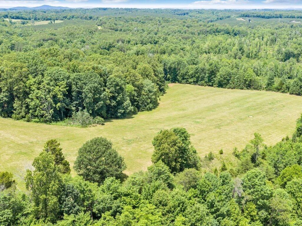 247 Powell RD - Photo 62