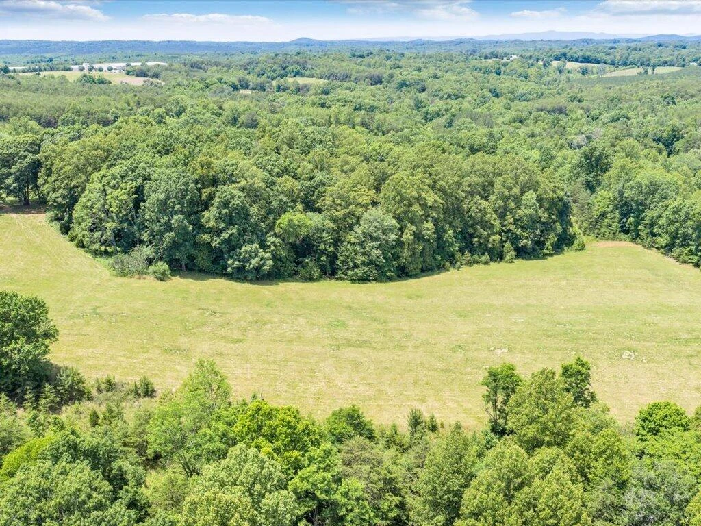 247 Powell RD - Photo 63