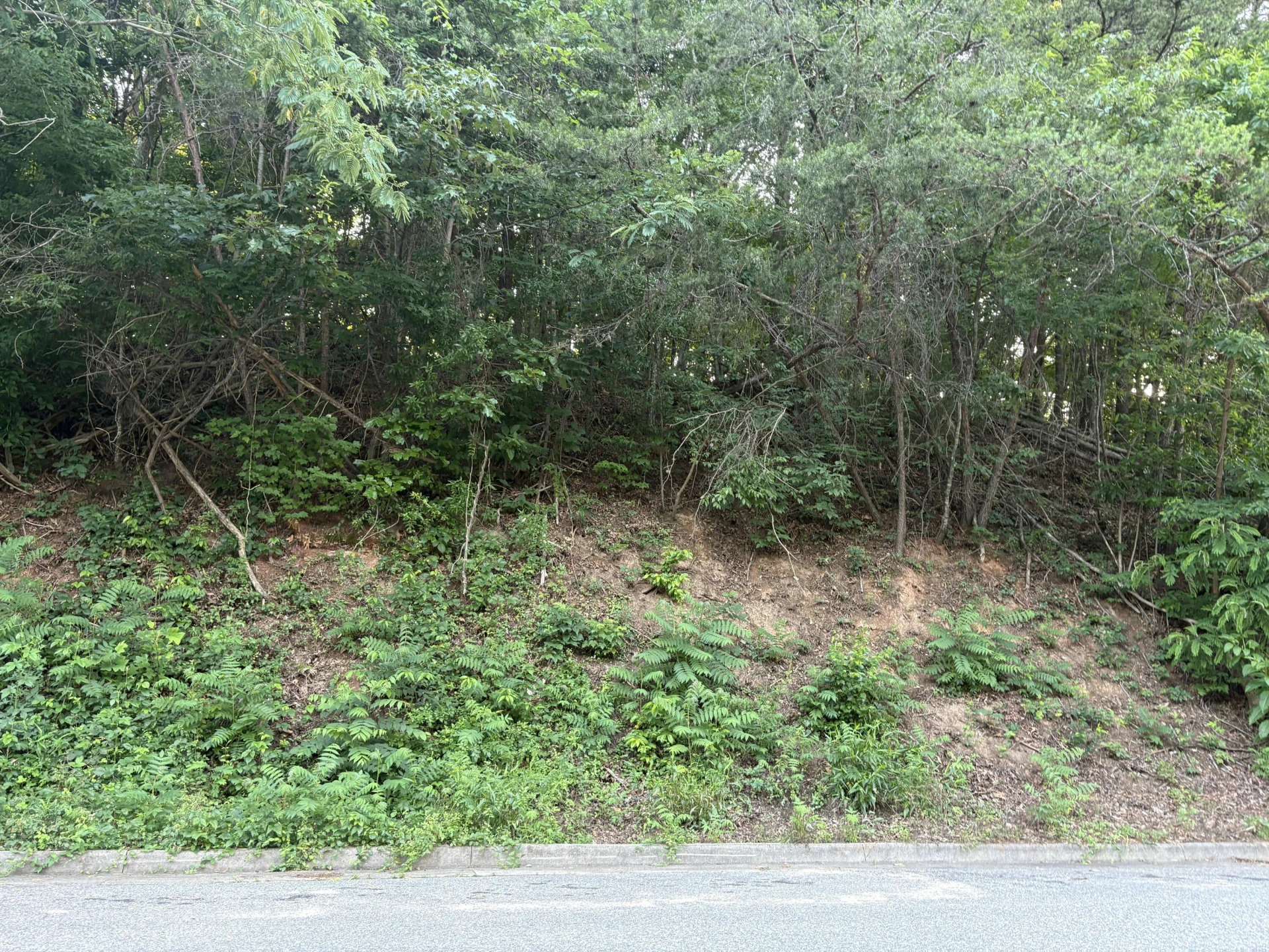 1130 Stephens (Lot) ST - Photo 2