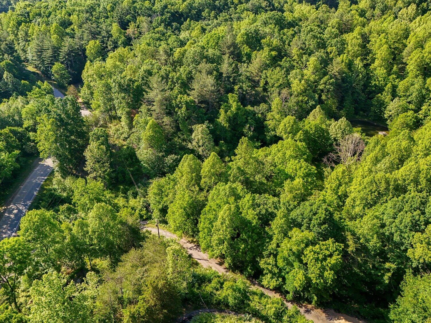 7385 Merriman RD - Photo 2