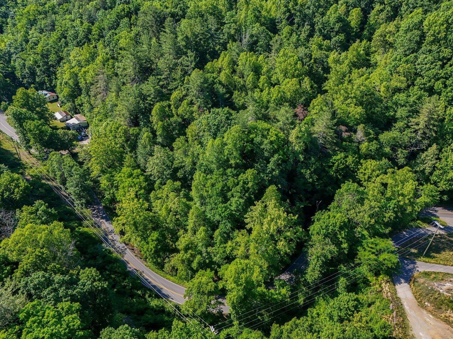 7127 Cotton Hill RD - Photo 3