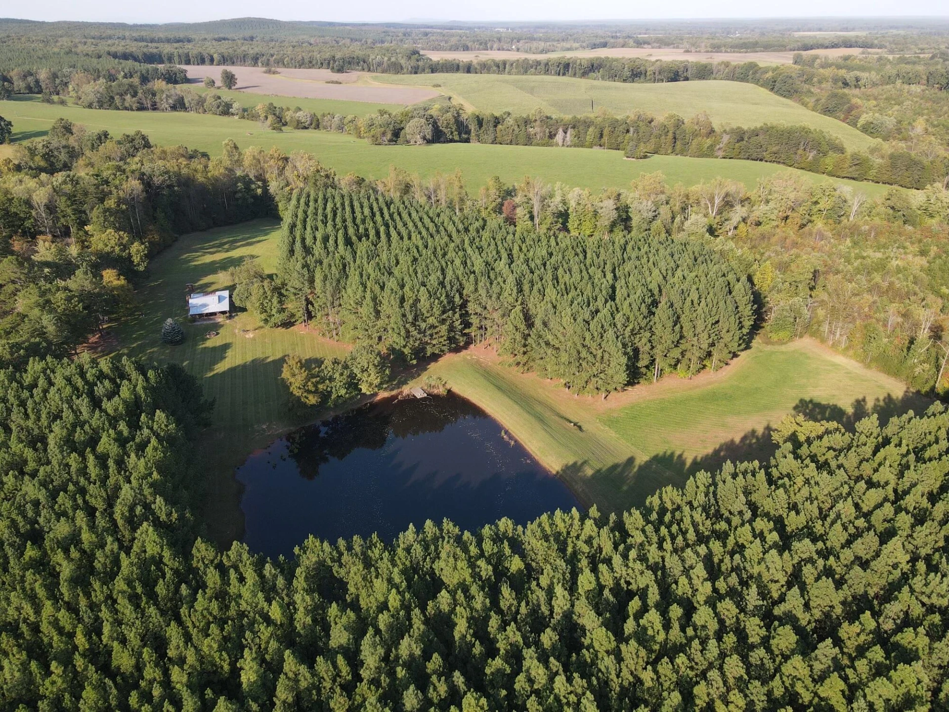 521 Piney Grove RD - Photo 3