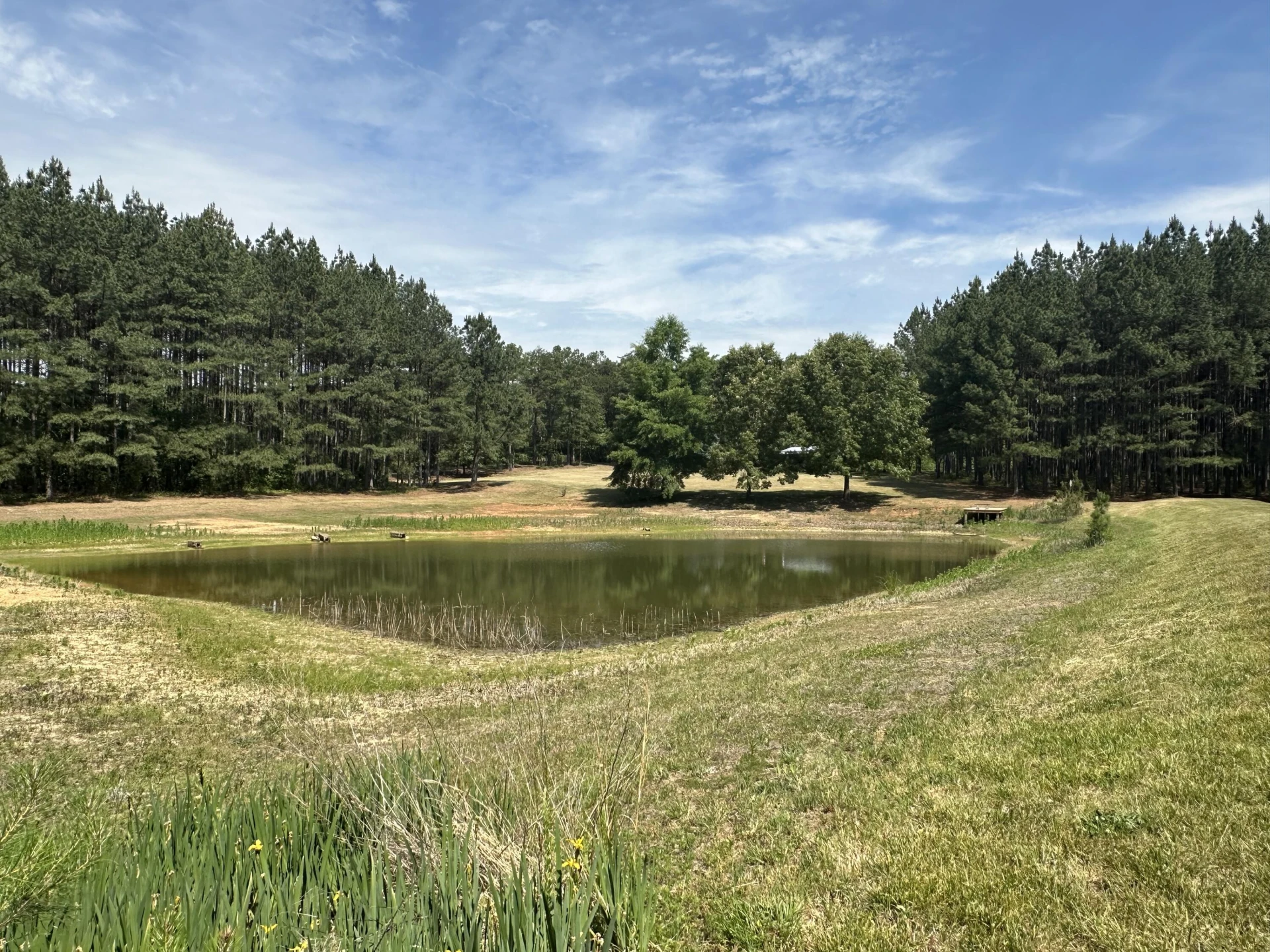 521 Piney Grove RD - Photo 9