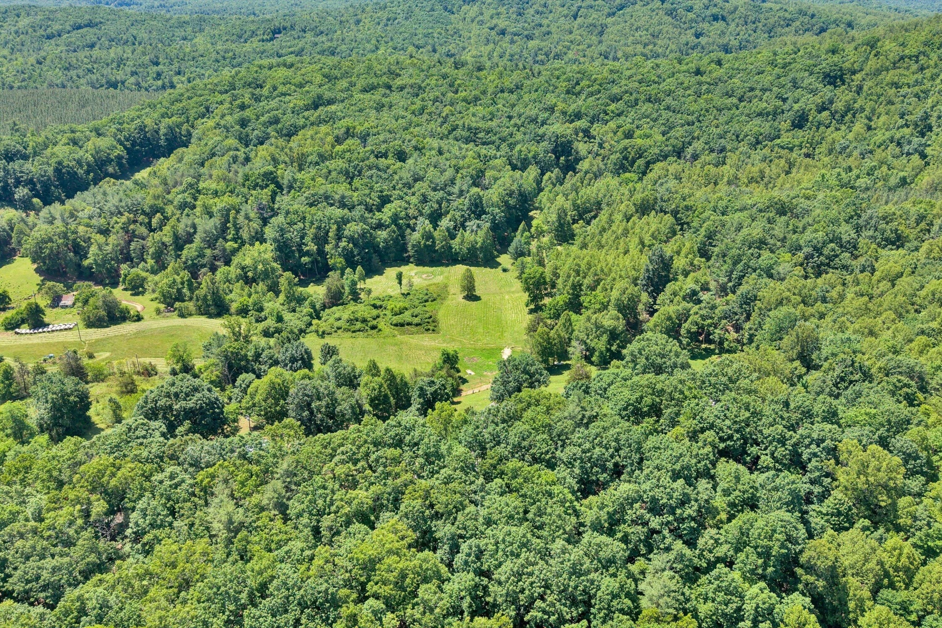 517 Elmer LN - Photo 47