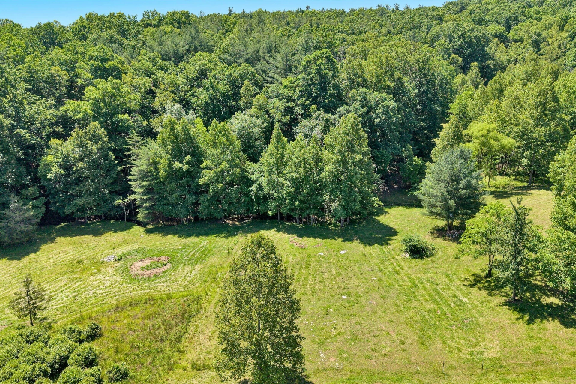 517 Elmer LN - Photo 50