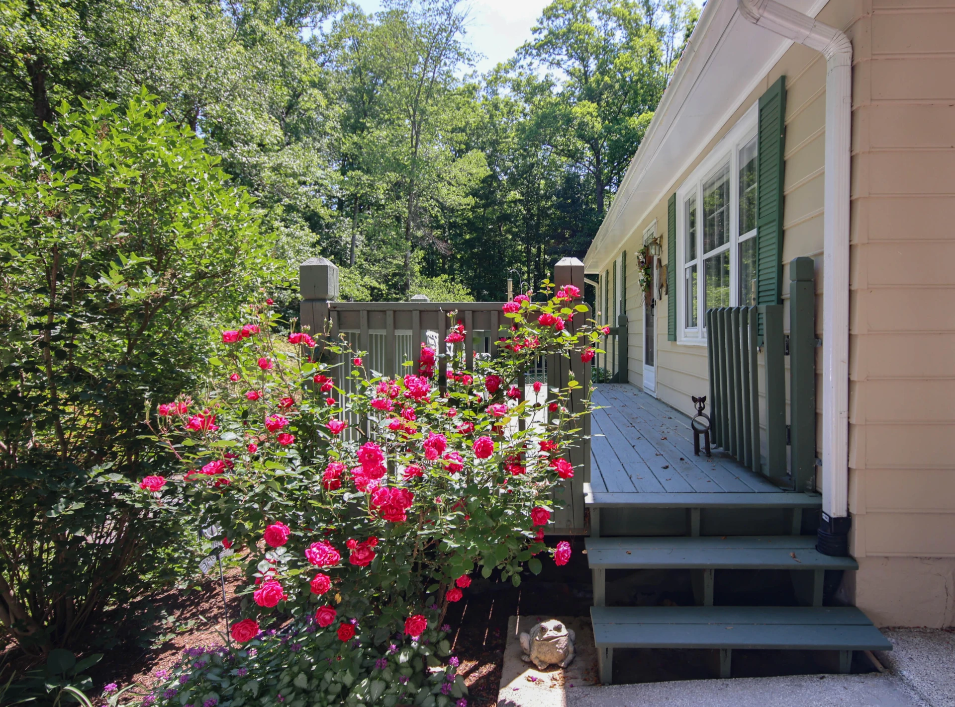 8465 Starlight LN - Photo 2