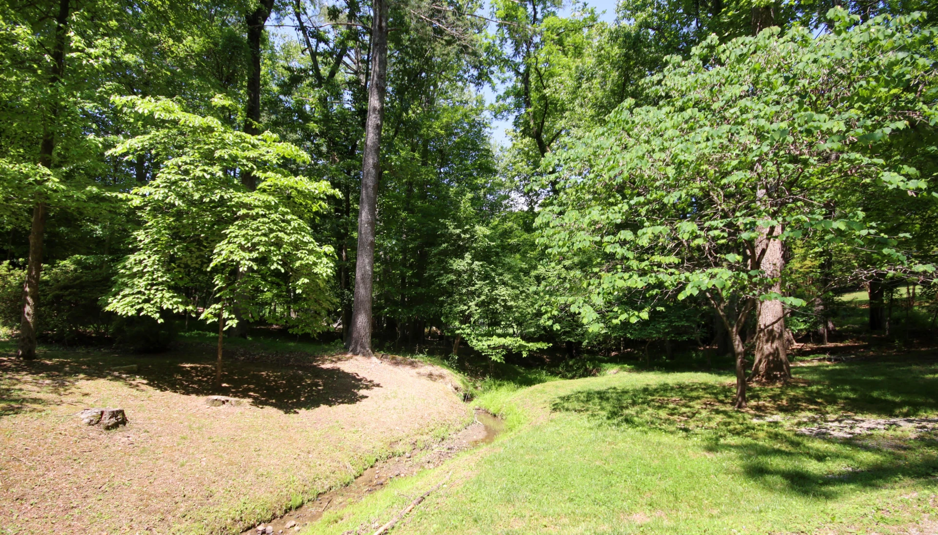 8465 Starlight LN - Photo 45
