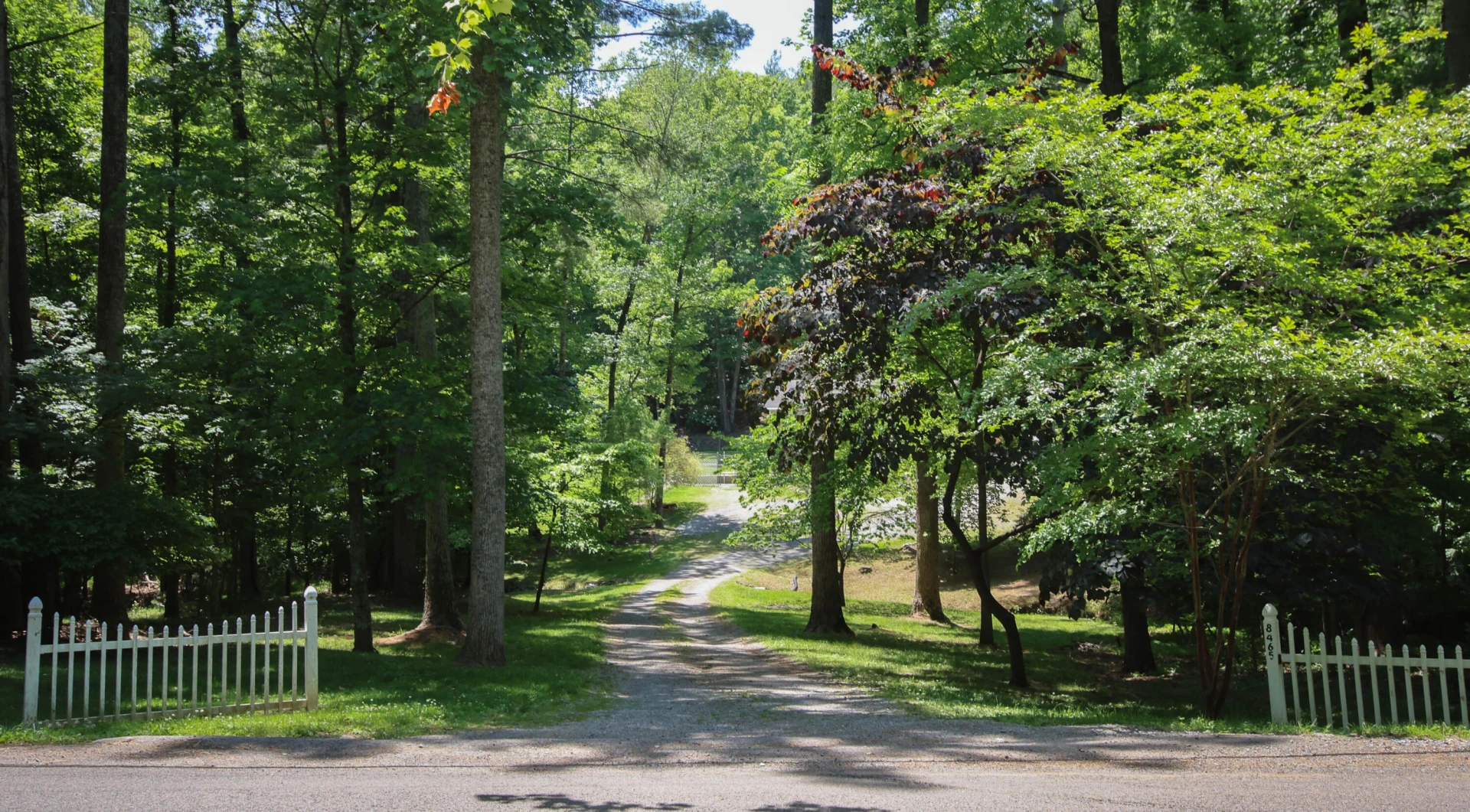 8465 Starlight LN - Photo 43