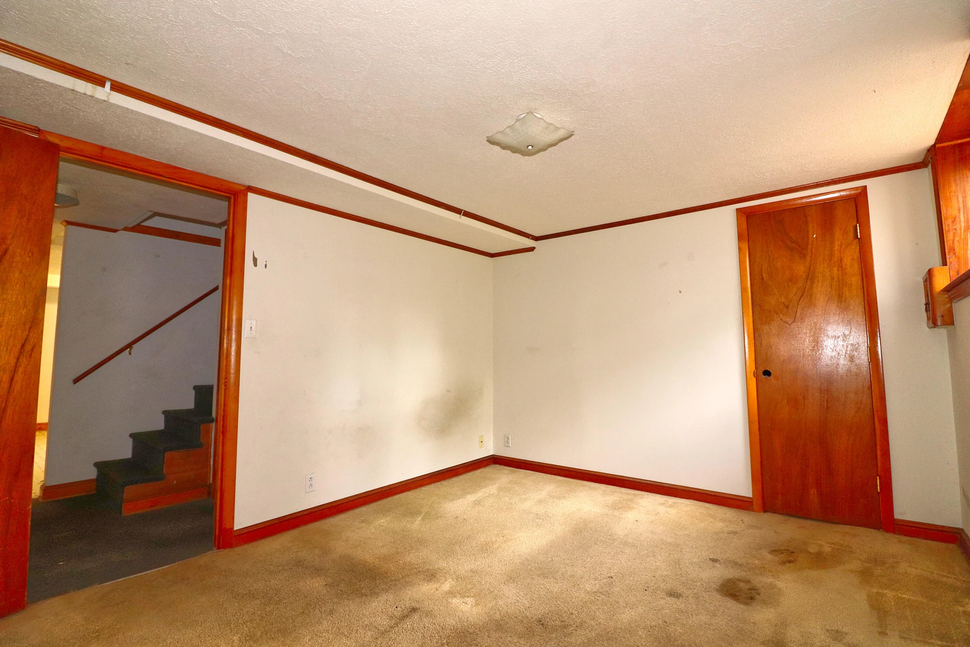 6632 Wood Haven RD - Photo 16