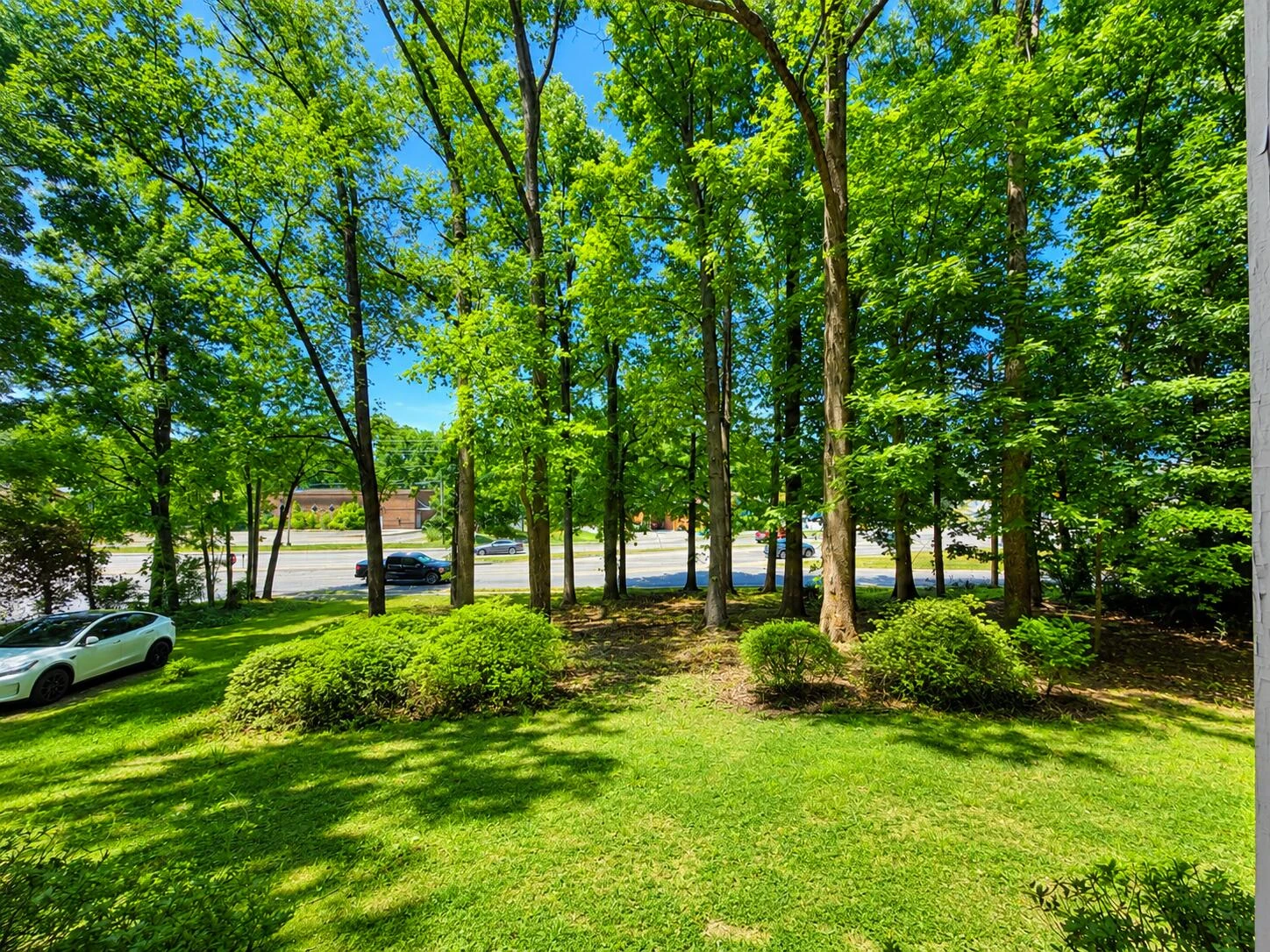 1009 Hardy RD - Photo 3