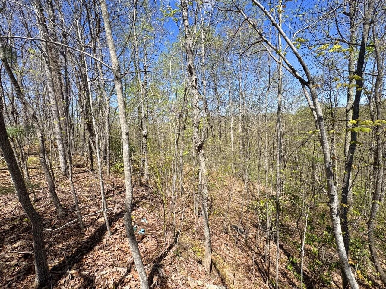 0 Maple Meadows Hoo Hoo RD