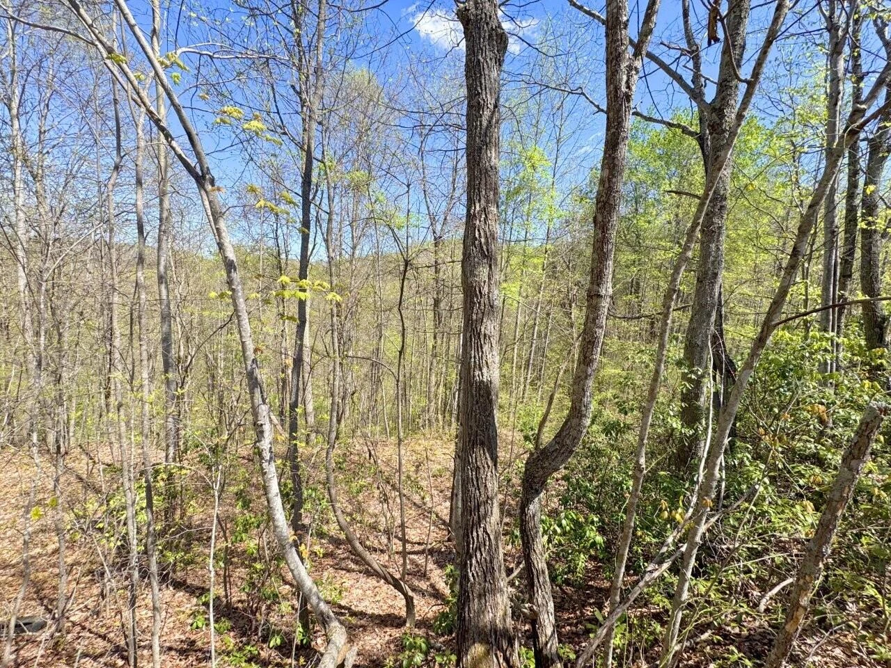 0 Maple Meadows Hoo Hoo RD - Photo 2