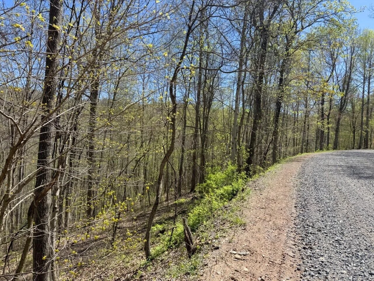 0 Maple Meadows Hoo Hoo RD - Photo 3