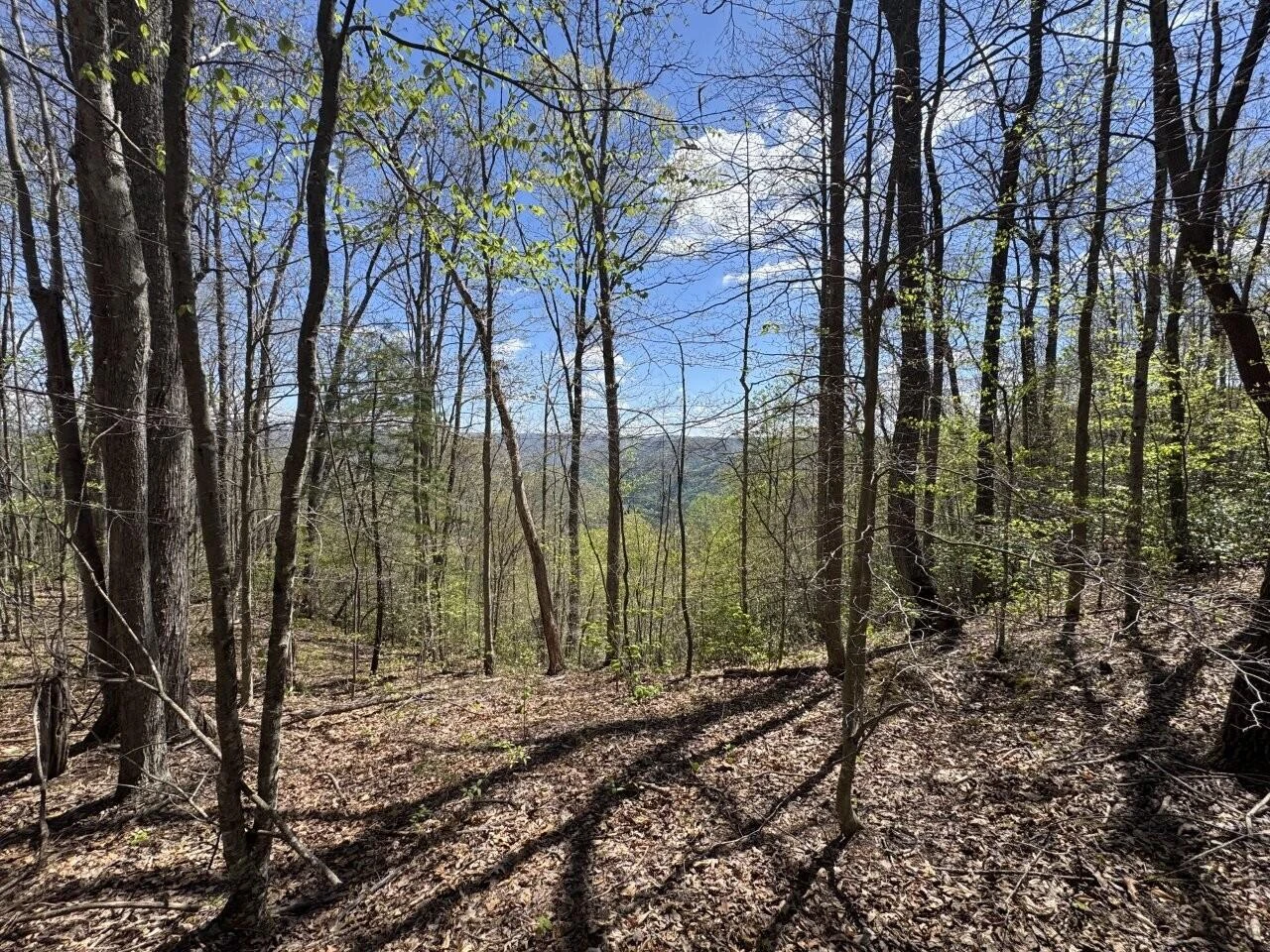 0 Mount Hope RD - Photo 5