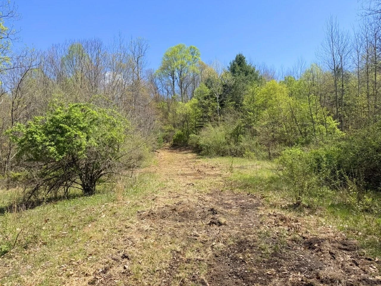 0 Mount Hope RD - Photo 6
