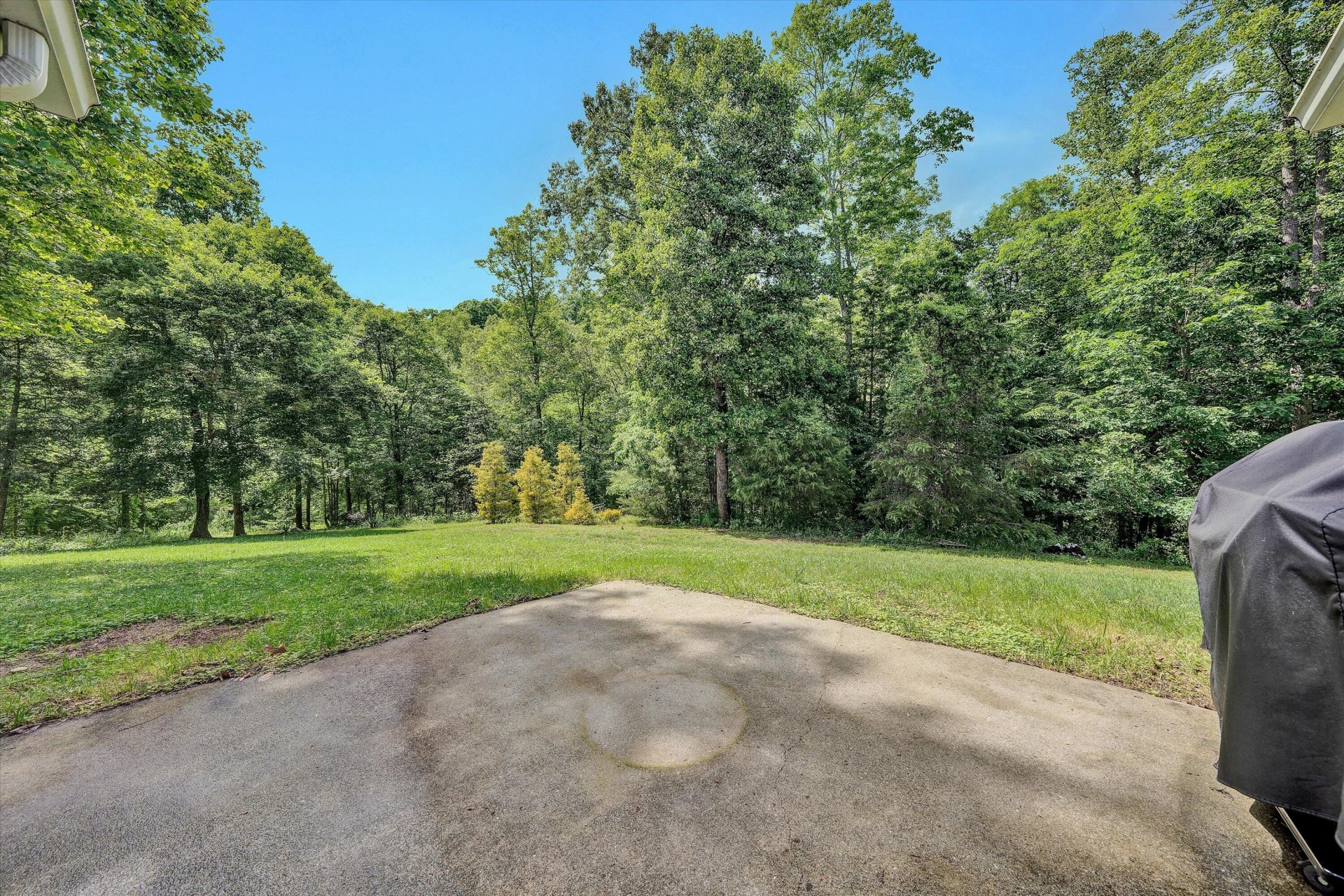 1955 Poplar View RD - Photo 28