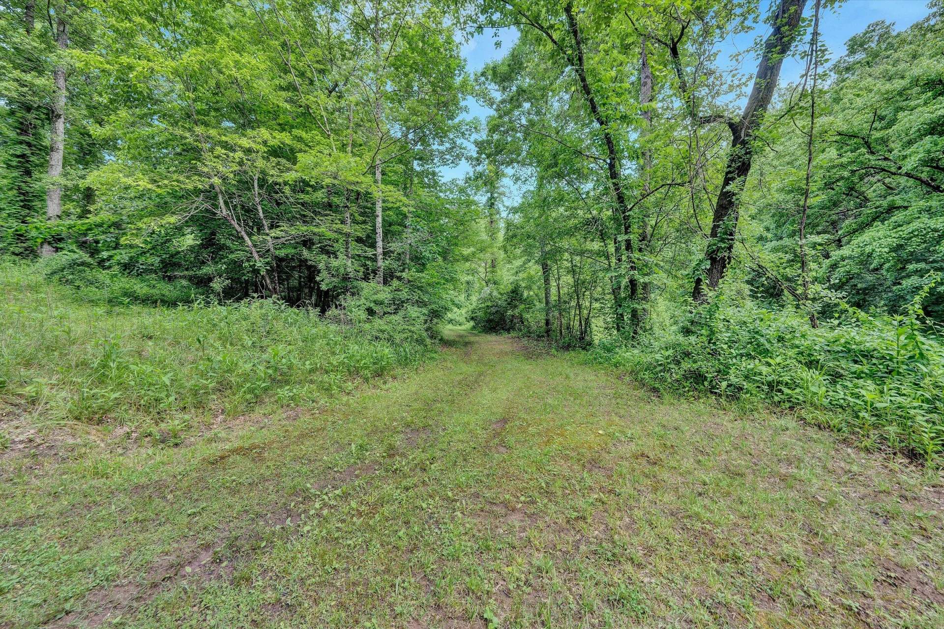 1955 Poplar View RD - Photo 36