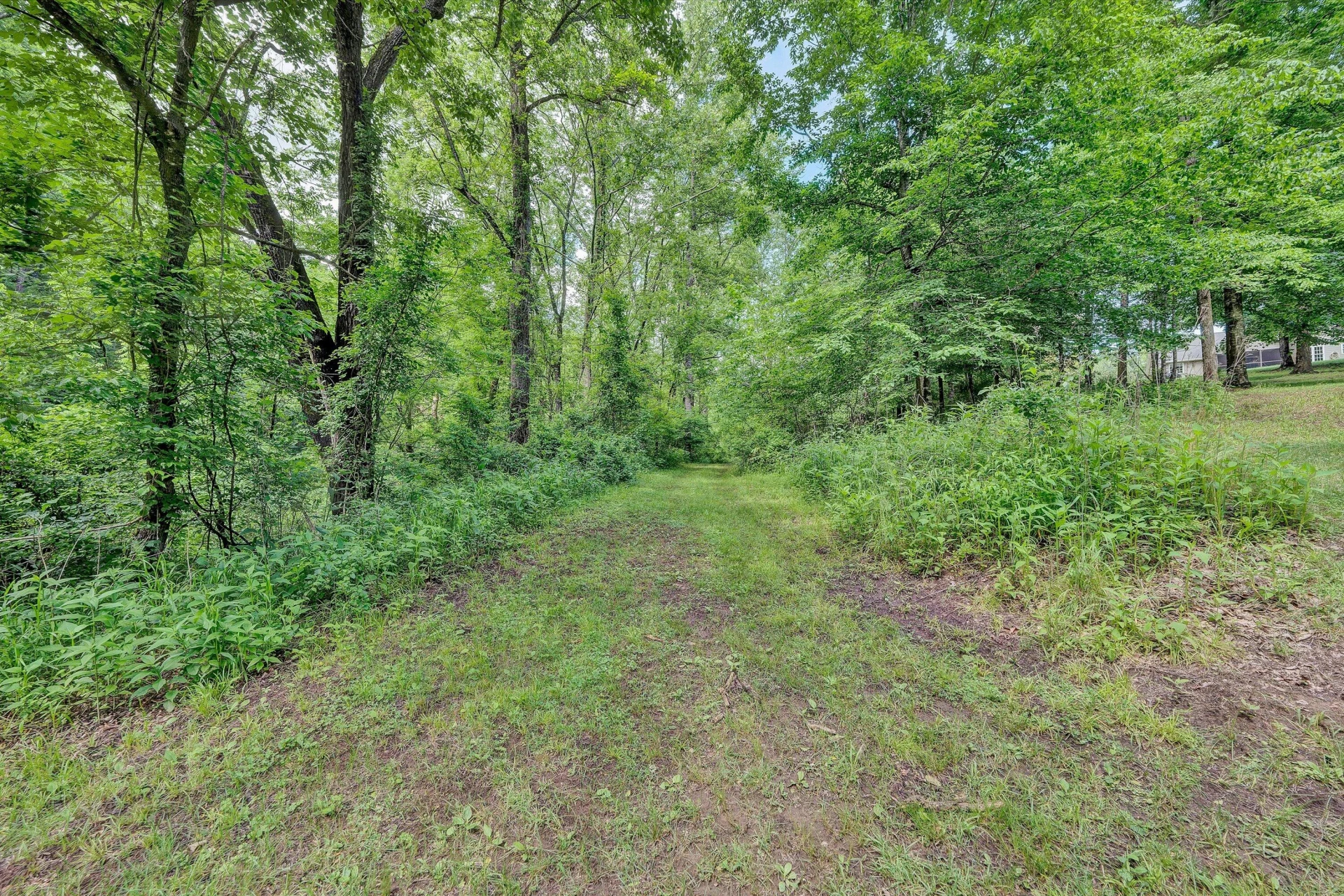 1955 Poplar View RD - Photo 37