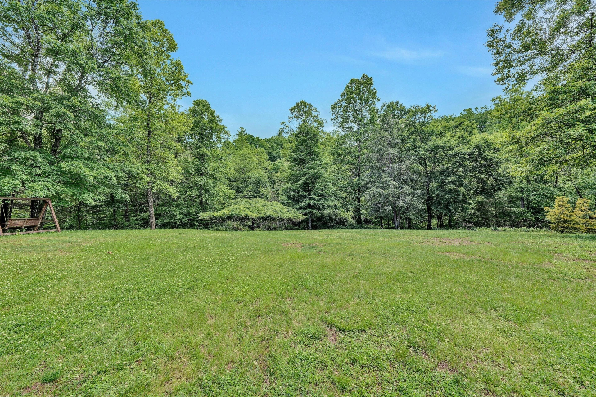 1955 Poplar View RD - Photo 39