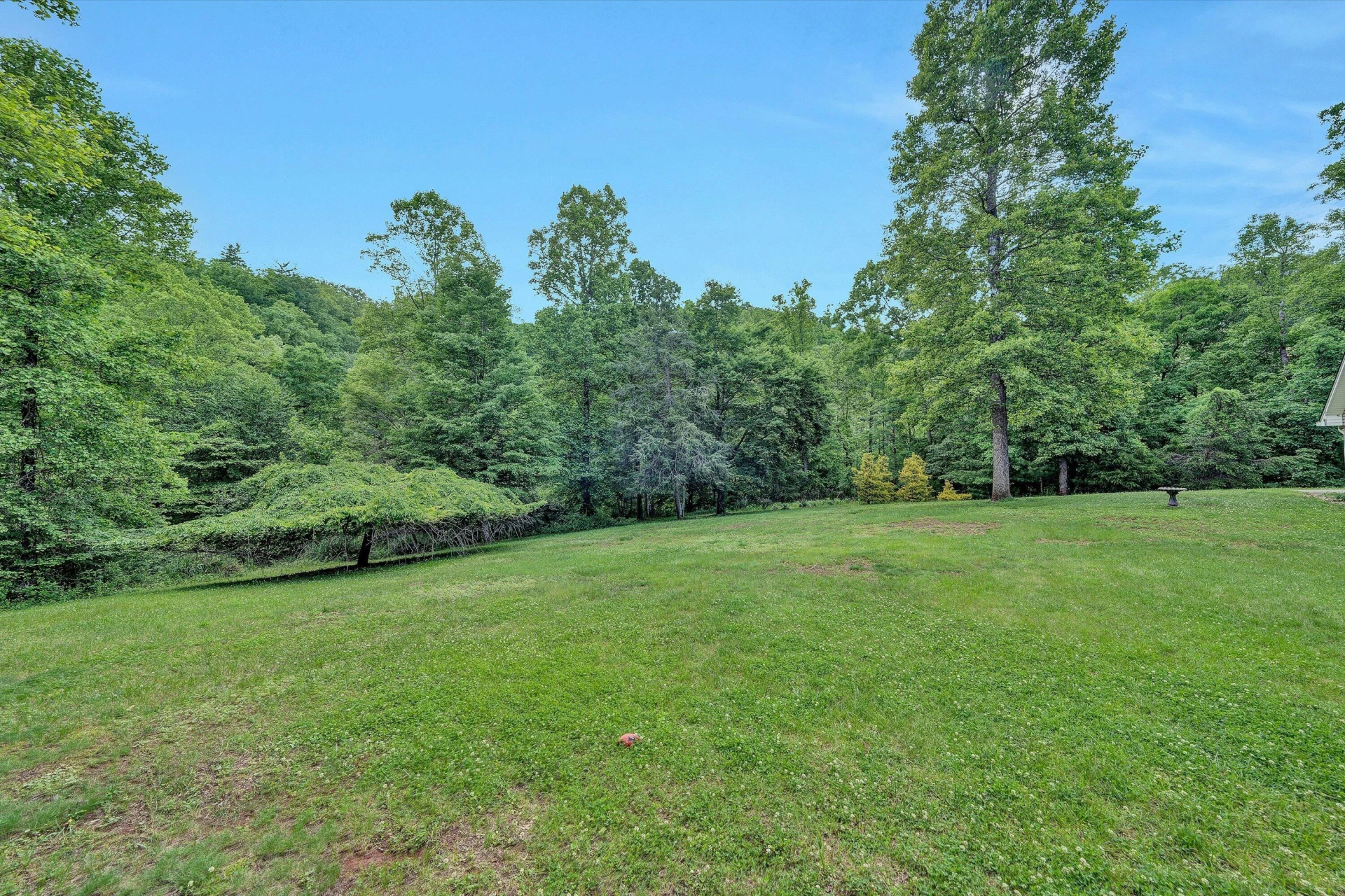 1955 Poplar View RD - Photo 40