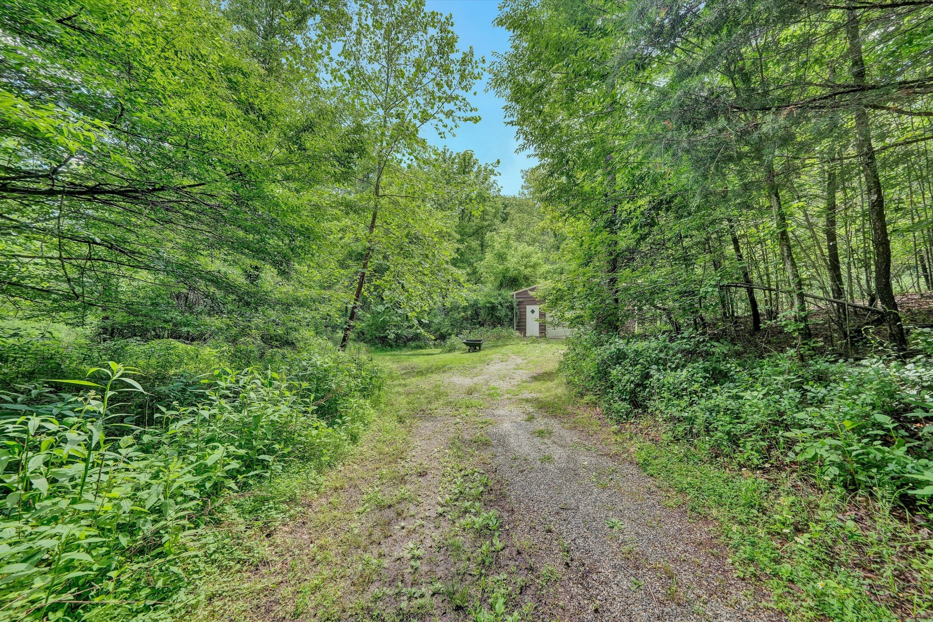 1955 Poplar View RD - Photo 41
