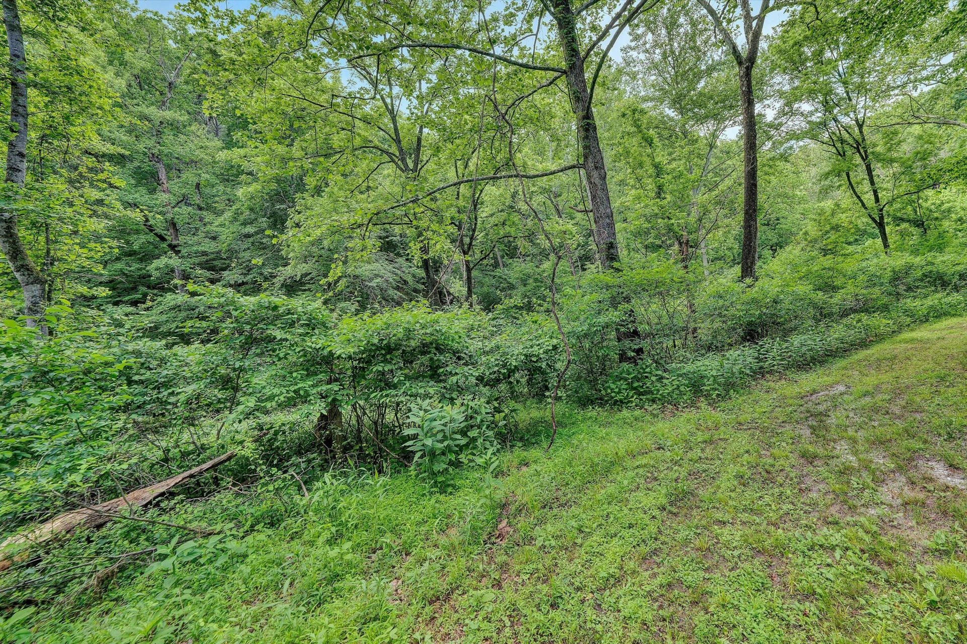 1955 Poplar View RD - Photo 45