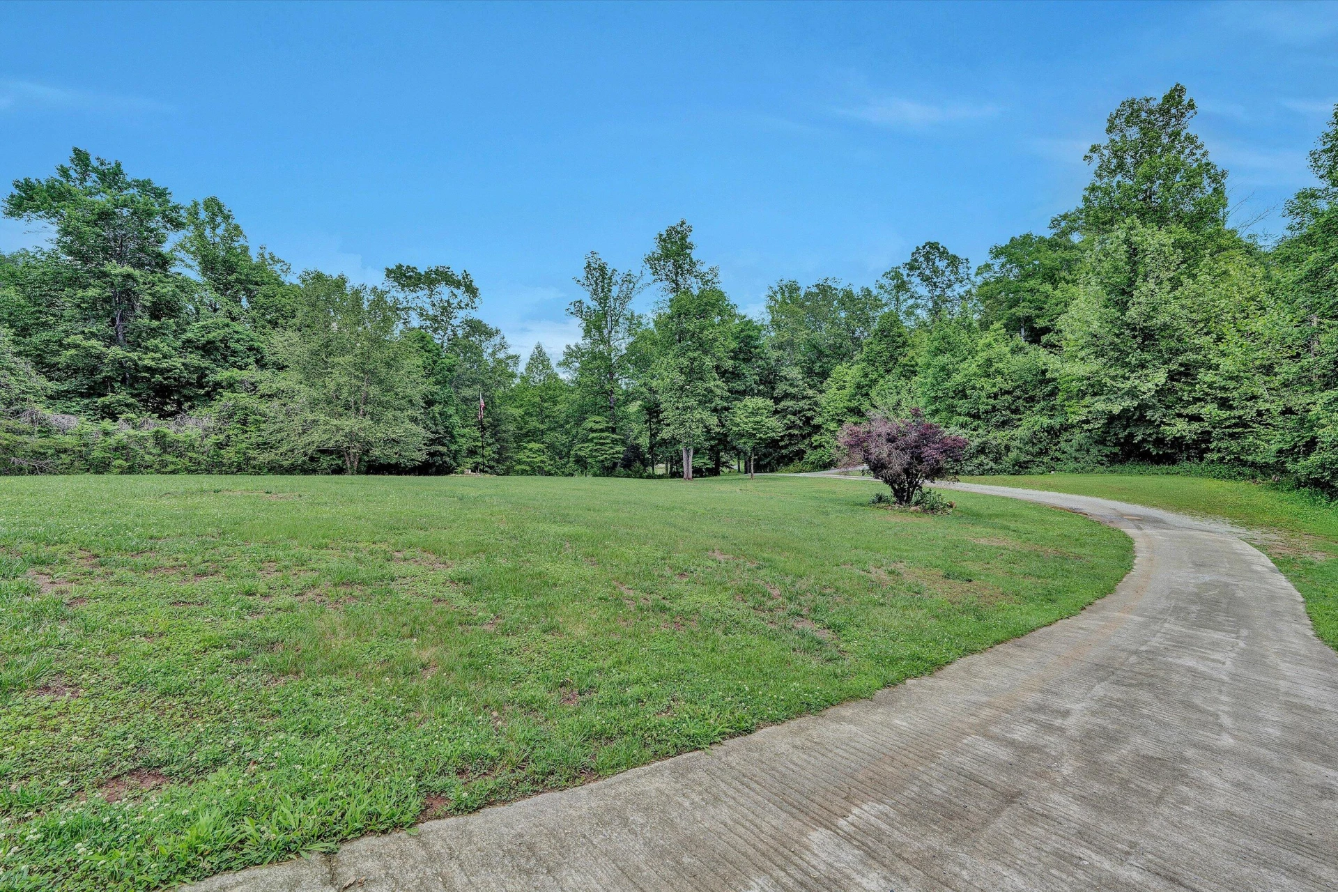 1955 Poplar View RD - Photo 48